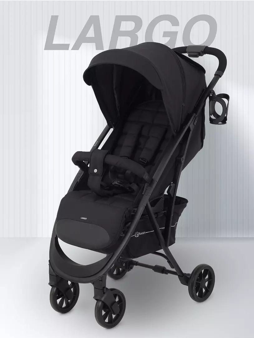 Коляска прогулочная Rant Largo 2024 Orange brown Графит