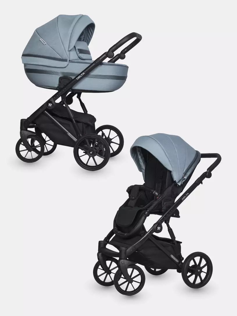 Коляска 2 в 1 Riko Basic Delta 01 grey fox Голубой