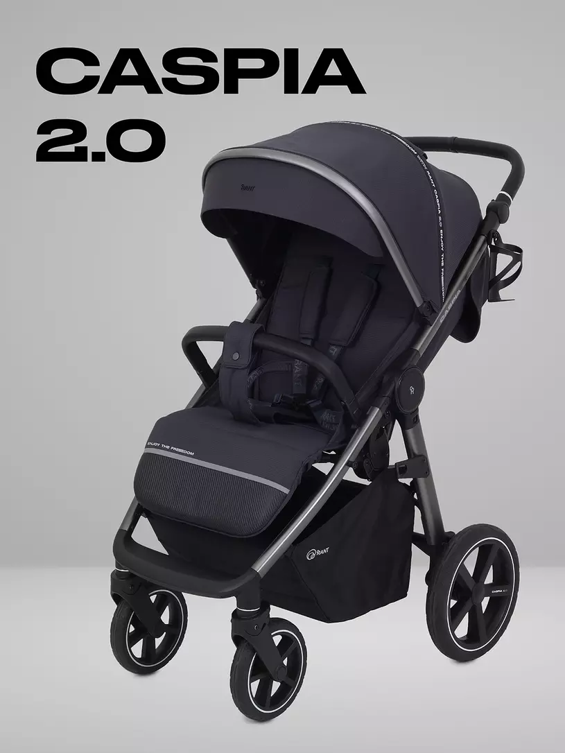 Коляска прогулочная Rant Caspia 2.0 2025 Green Графит