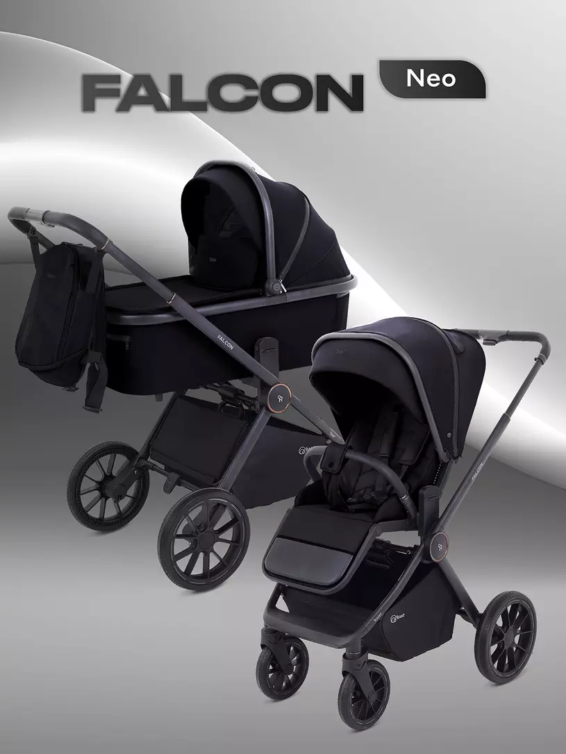 Коляска 2 в 1 Rant Falcon Neo Sage Черный