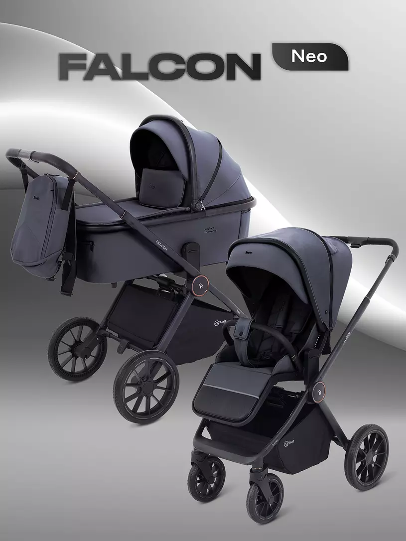 Коляска 2 в 1 Rant Falcon Neo Sage Графит