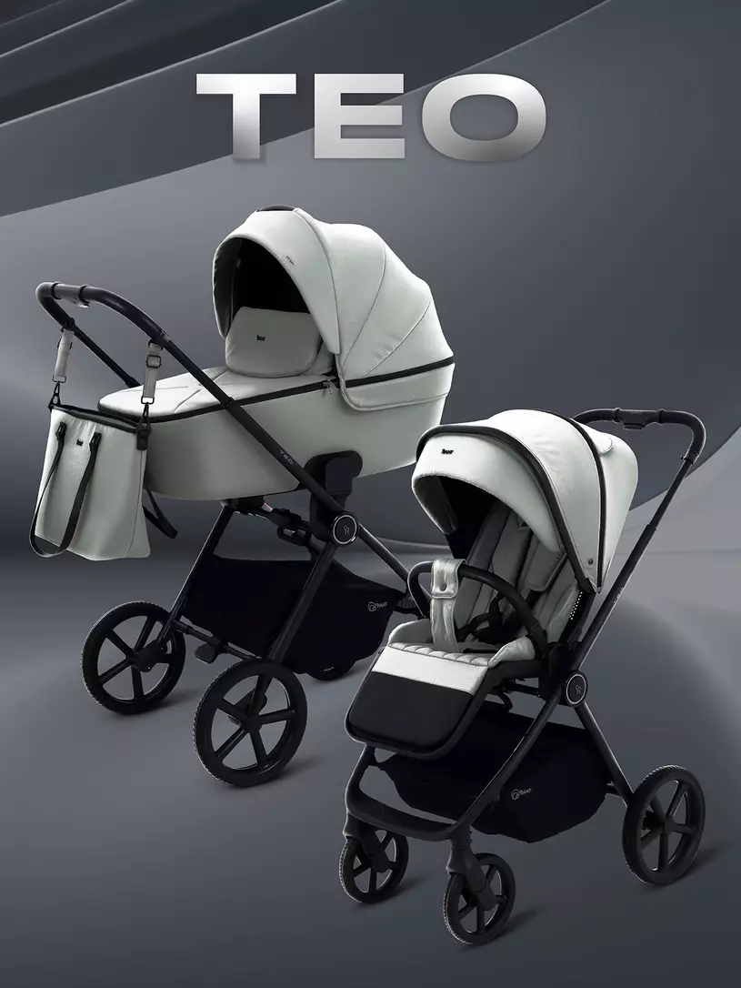 Коляска 2 в 1 Rant Teo Black Зеленый