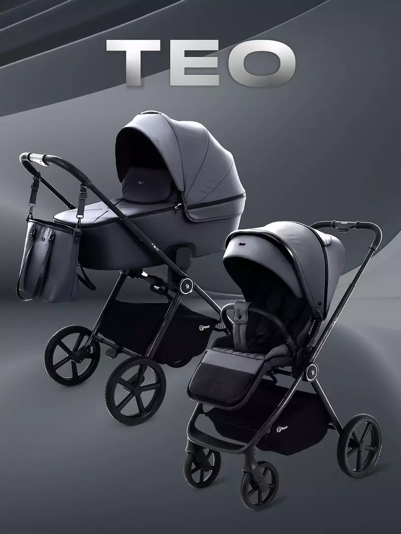 Коляска 2 в 1 Rant Teo Black Графит